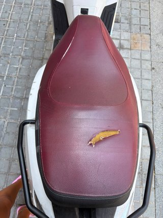 Kymco Like 125