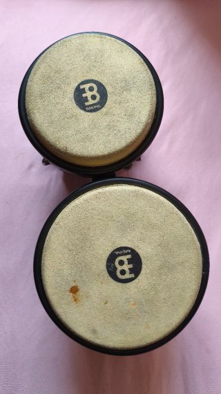 Bongos Meinl