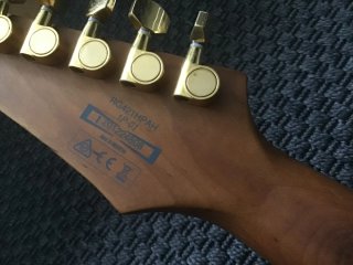 Guitarra Ibanez RG421 HPAH