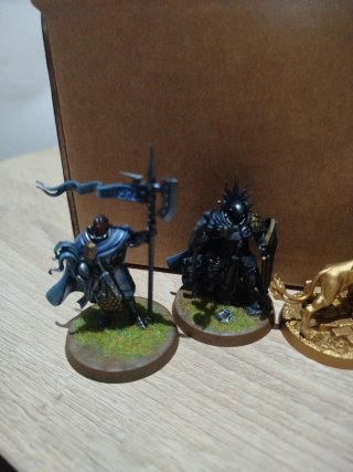 Figuras Stormcast Warhammer AOS Varias