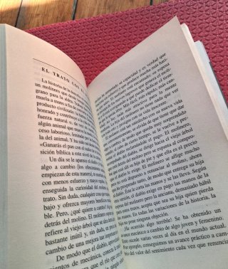 ⚡️1ª ed: "El rey pescador y la doncella sin manos"