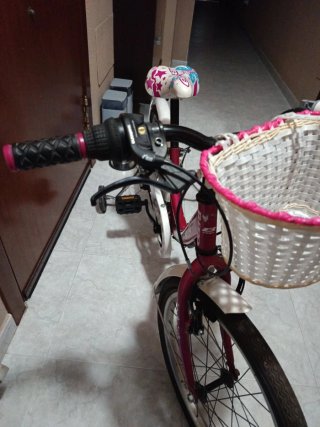 Bicicleta niña rosa con ruedines