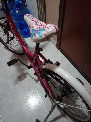 Bicicleta niña rosa con ruedines