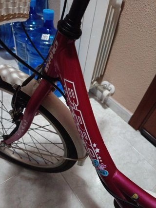 Bicicleta niña rosa con ruedines