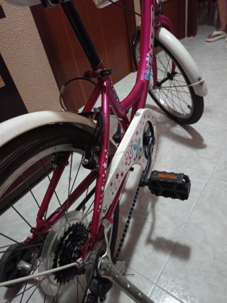 Bicicleta niña rosa con ruedines