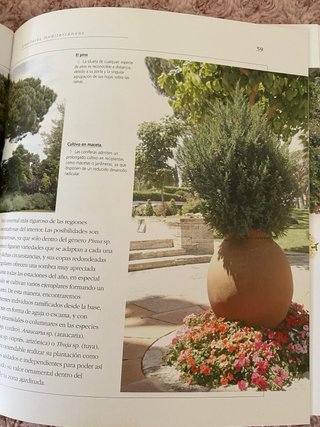 Atlas ilustrado del jardín mediterráneo