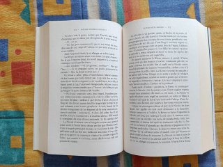 Últims dies a Berlín