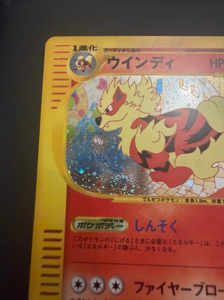 Arcanine town on no map 17