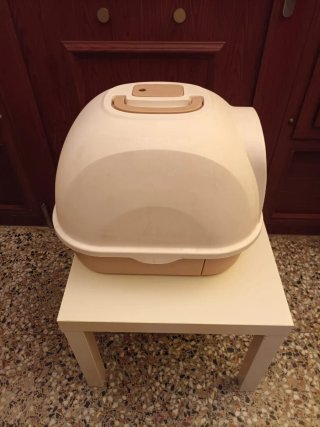 Box per gatti con sabbia chiuso