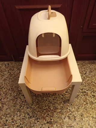 Box per gatti con sabbia chiuso