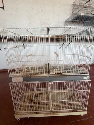 Jaulas de cría metálicas