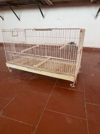 Jaulas de cría metálicas