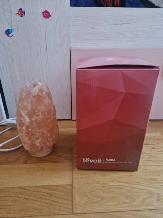 Lámpara Sal Himalaya Piedra Natural Madera