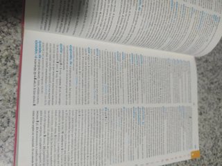 Diccionario de lengua avanzada sm