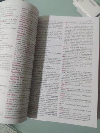 Diccionario compact francés español