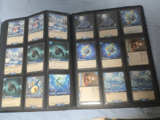 Colección Cartas Palworld TCG