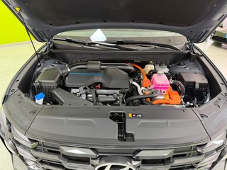 Hyundai Tucson Maxx 1.6 TGDI 215CV Auto. HEV