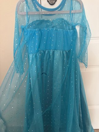 Disfraz Princesa Frozen/Rapunzel