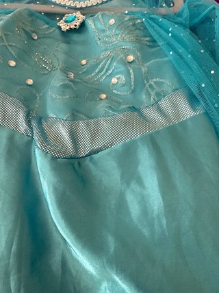 Disfraz Princesa Frozen/Rapunzel