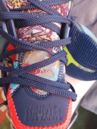 Zapatillas LeBron James Strive For Greatness