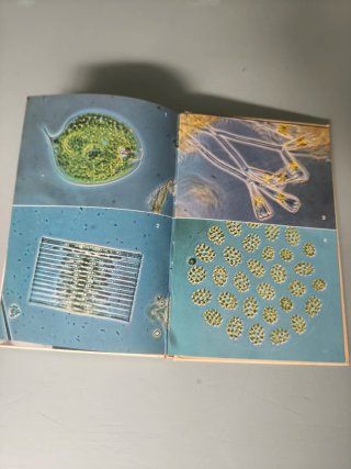 Libro "Atlas de los microorganismos de Agua Dulce
