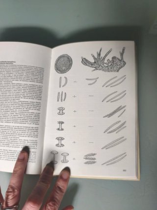 Libro "Atlas de los microorganismos de Agua Dulce