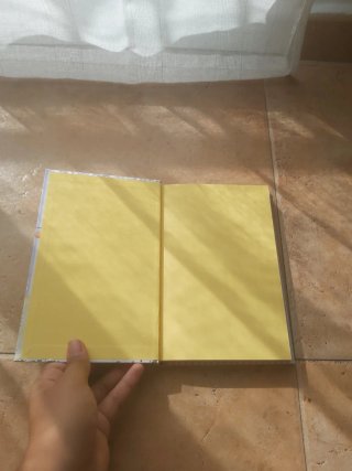 La puerta mágica
