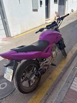 Honda CBF 250cc stunt