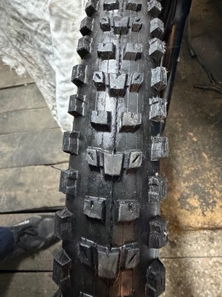 Orbea Occam H10