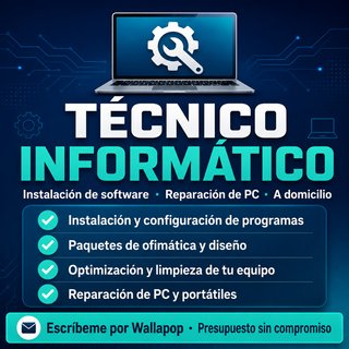 Técnico informático a domicilio - Software y PC