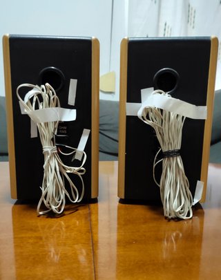 Altavoces WUNDERTON TG 1000A 50W+50W RMS