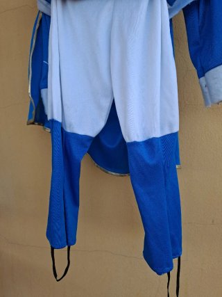 Disfraz Príncipe/Paje 3-4 años con Gorro y capa