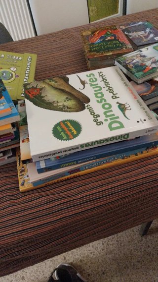 Gran lots contes i llibres nous,urgeix fer lloc