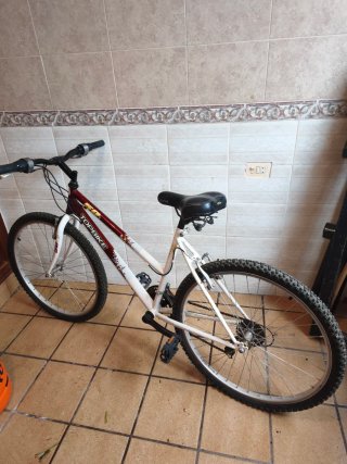 Bicicleta Montaña Top Bike 50 Paseo