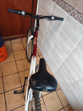 Bicicleta Montaña Top Bike 50 Paseo