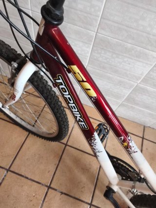 Bicicleta Montaña Top Bike 50 Paseo