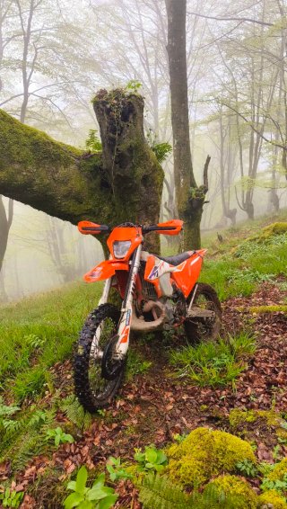 KTM 300 EXC 2023 Naranja/Blanca