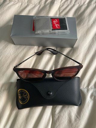 Gafas de Sol Ray-Ban Erika Marrones
