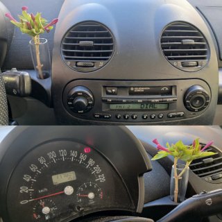Volkswagen Escarabajo