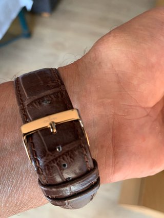 Reloj Croton Marrón y Dorado