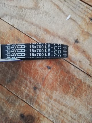 Correa DAYCO Honda SFX / Bali / SXR 50 NUEVA