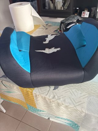 Culott  infantil dinosaurios azul