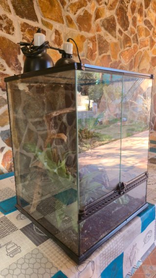 Terrario completo con plantas y accesorios