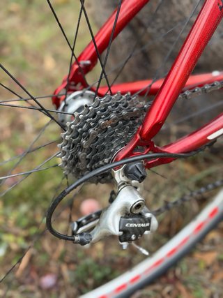 Bicicleta Goka Carbono Campagnolo Centaur