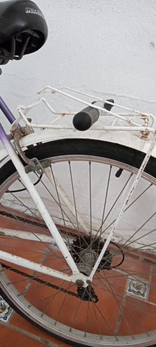 Bicicleta Montaña Retro
