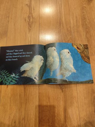 Owl Babies