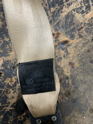 Cinturón seguridad copiloto beige