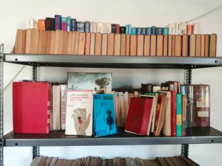 Libri