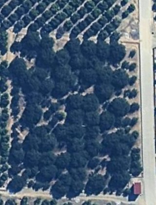 Se vende terreno rustico con caseta de aperos