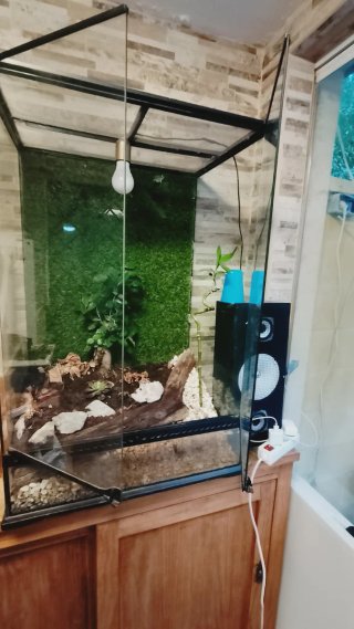 Terrario para mascotas de 90x60x45